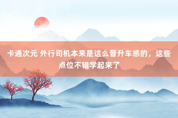 卡通次元 外行司机本来是这么晋升车感的，这些点位不错学起来了