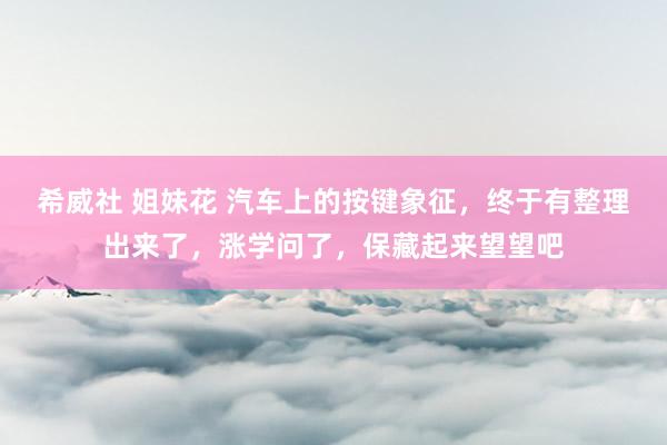 希威社 姐妹花 汽车上的按键象征，终于有整理出来了，涨学问了，保藏起来望望吧