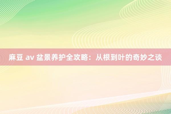 麻豆 av 盆景养护全攻略：从根到叶的奇妙之谈