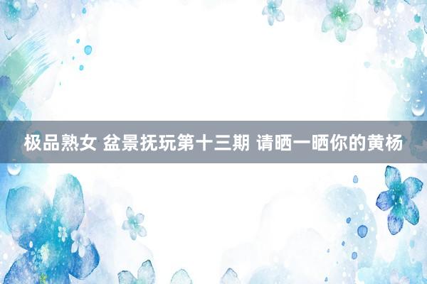 极品熟女 盆景抚玩第十三期 请晒一晒你的黄杨