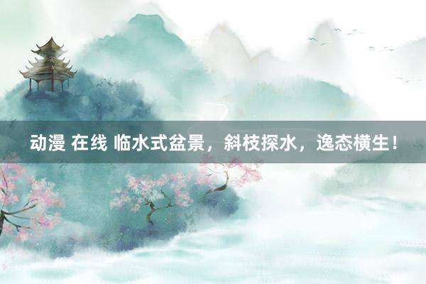 动漫 在线 临水式盆景，斜枝探水，逸态横生！
