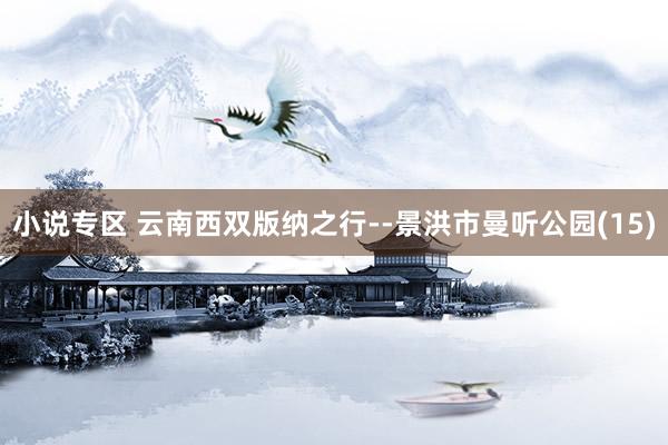 小说专区 云南西双版纳之行--景洪市曼听公园(15)