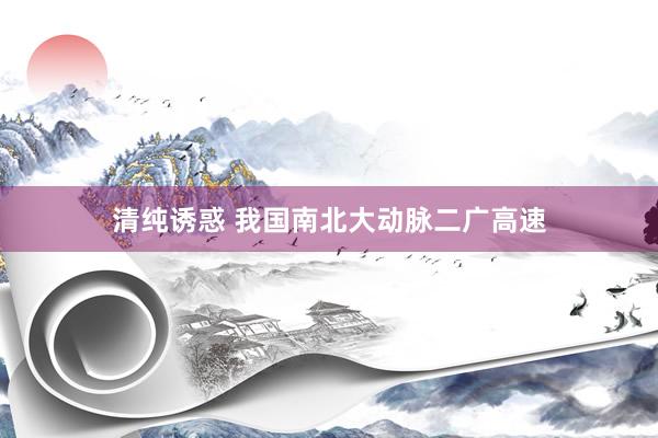 清纯诱惑 我国南北大动脉二广高速