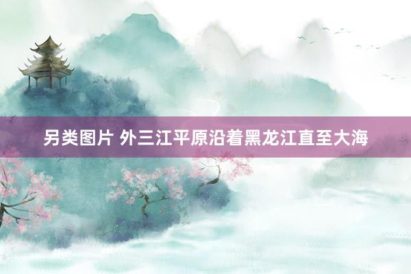 另类图片 外三江平原沿着黑龙江直至大海