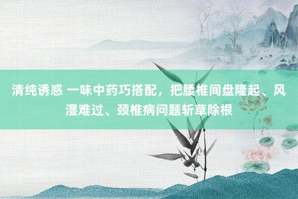 清纯诱惑 一味中药巧搭配，把腰椎间盘隆起、风湿难过、颈椎病问题斩草除根