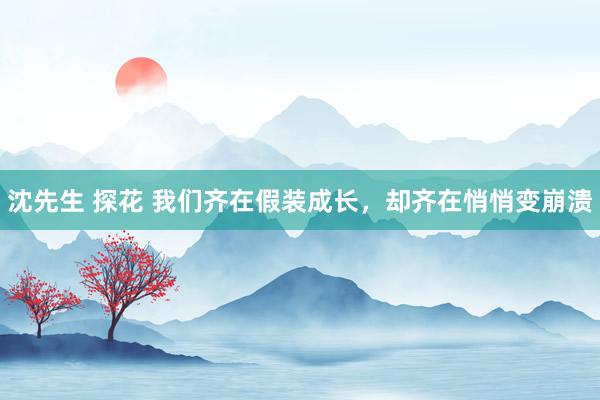 沈先生 探花 我们齐在假装成长，却齐在悄悄变崩溃
