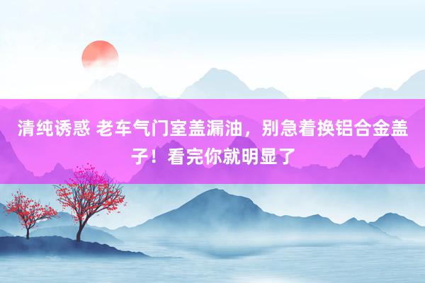 清纯诱惑 老车气门室盖漏油，别急着换铝合金盖子！看完你就明显了