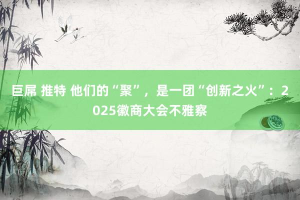 巨屌 推特 他们的“聚”，是一团“创新之火”：2025徽商大会不雅察